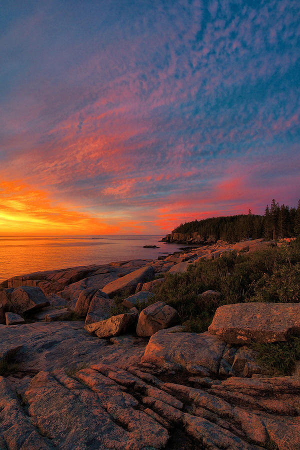 The Acadia Coastline At Dawn Photograph by Stephen Vecchiotti