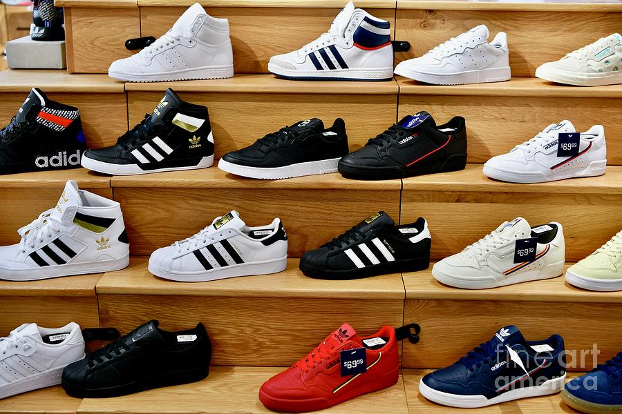 The Adidas Collection by Images - Art America