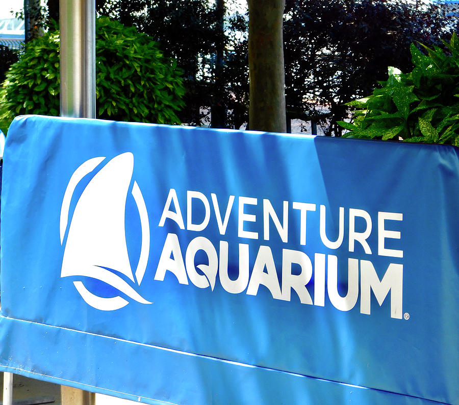 The Adventure Aquarium - The ADventure Aquarium CamDen Nj Arlane Crump