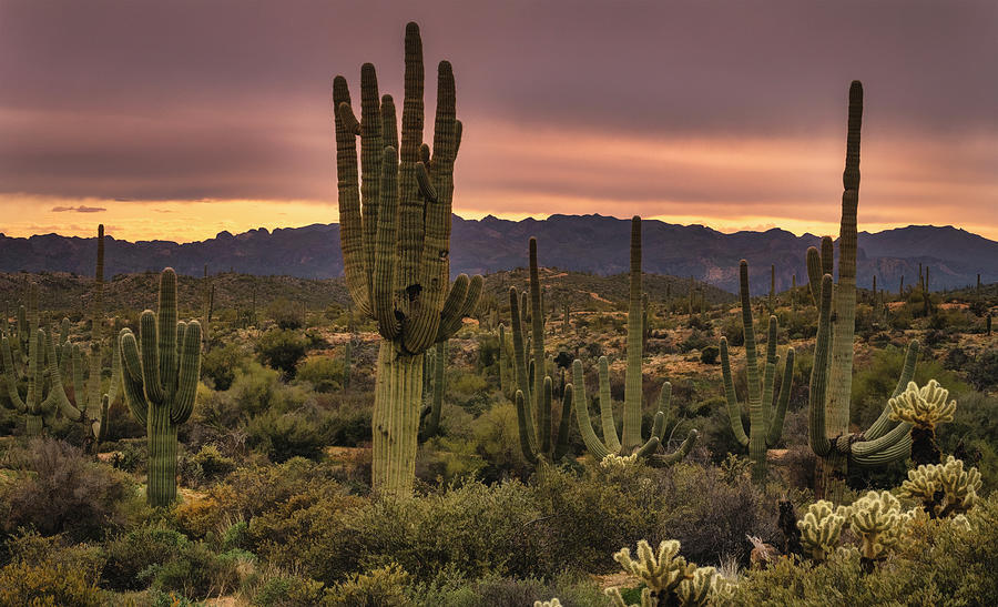 The After Sunset Glow Photograph by Saija Lehtonen - Fine Art America