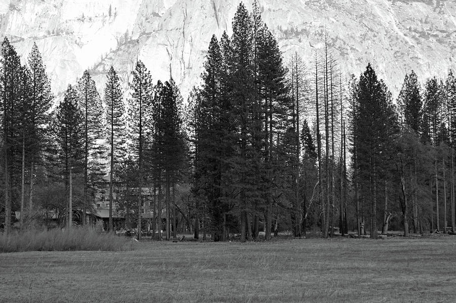 The Ahwahnee Hotel Photograph by Eric Forster