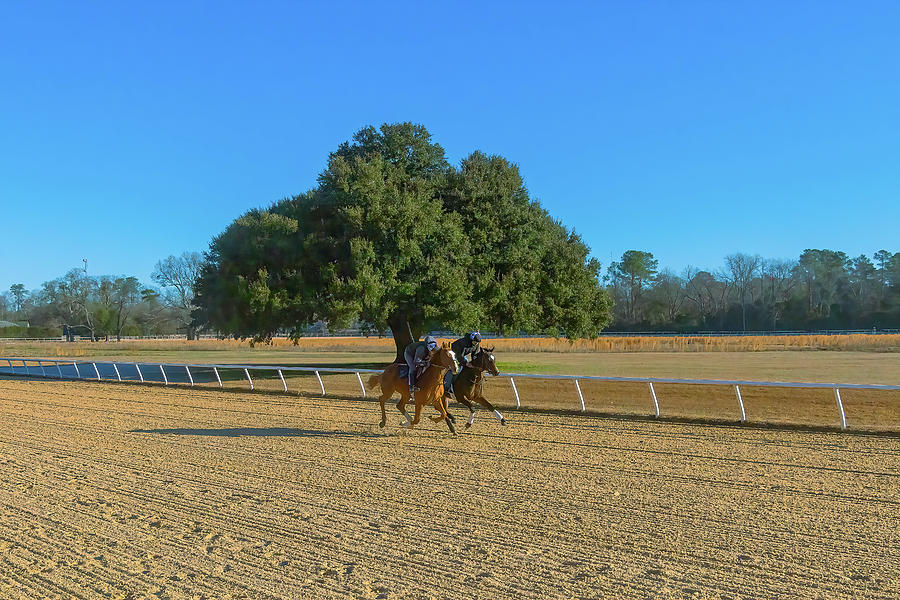 The Aiken Training Track 5 Photograph By Steve Rich - Fine Art America