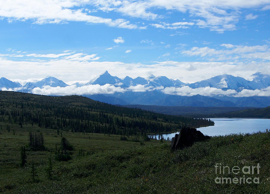 The Alaska Mountain Range in Denali National Park Photograph by L Bosco