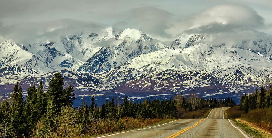 The Alaska Range 2023 Photograph by Michael W Rogers