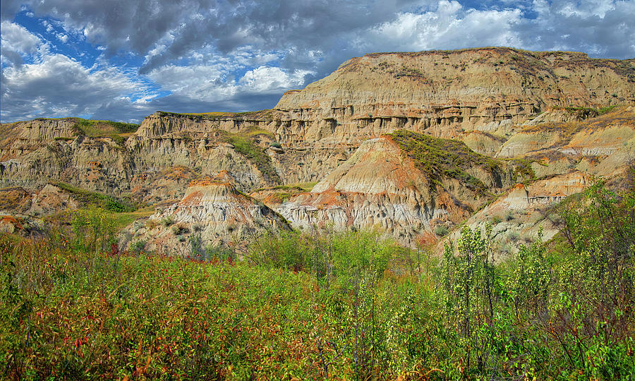 Summer Photograph - The Alberta Badlands in Summer by Phil And Karen Rispin