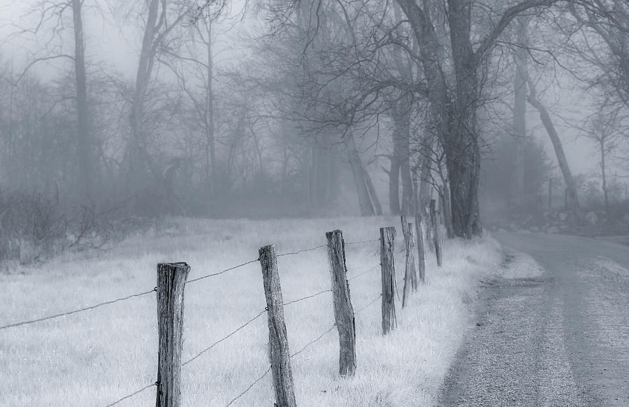 The Allure of Fog Along Sparks Lane, Infrared Version Photograph by Marcy Wielfaert
