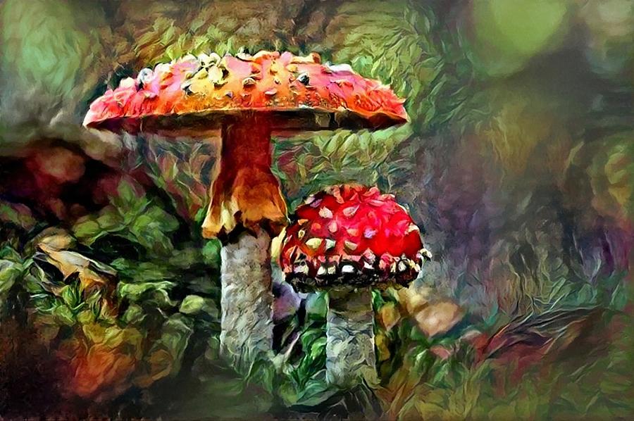 The Amanita Muscaria Mushrooms Mixed Media by Sandi OReilly
