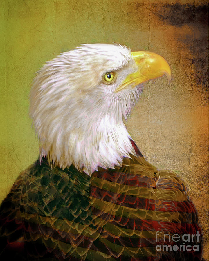 The American Bald Eagle Photograph by Savannah Gibbs