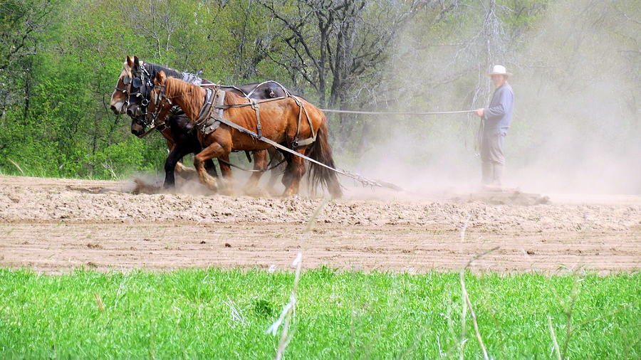 The Amish Way Photograph by Kay Novy