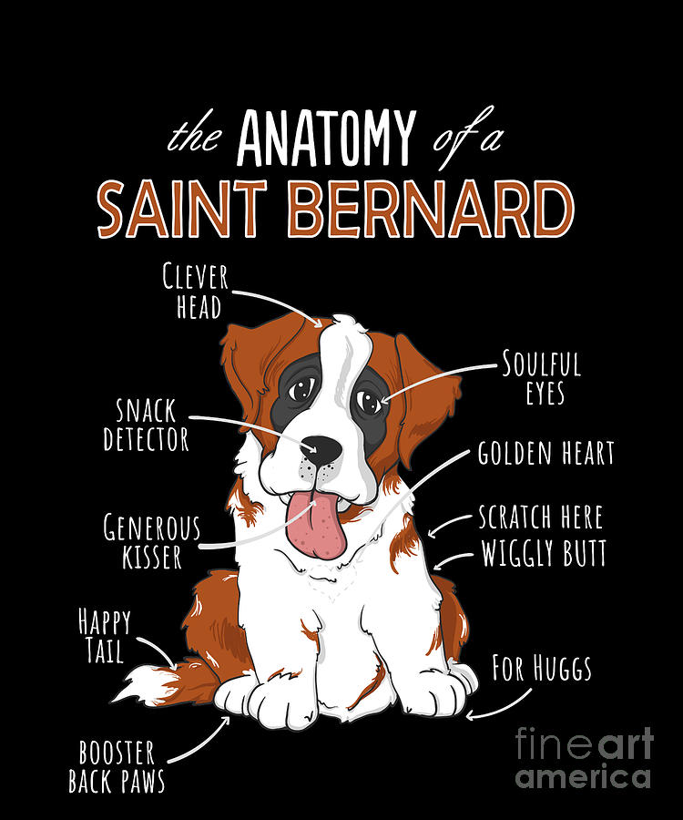 St Bernard Funny Anatomy St Bernard Anatomy Funny Dog Mom Dad Cute Gift Throw Pillow 16x16 Multicolor