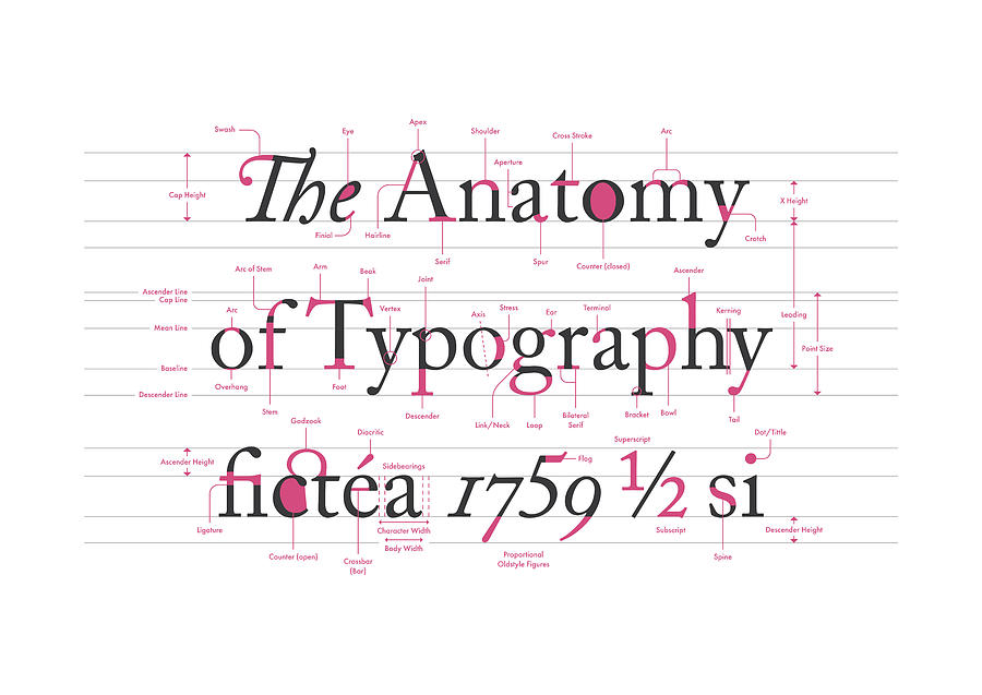 The Anatomy of Typography - Light Digital Art by Penny And Horse - Fine ...