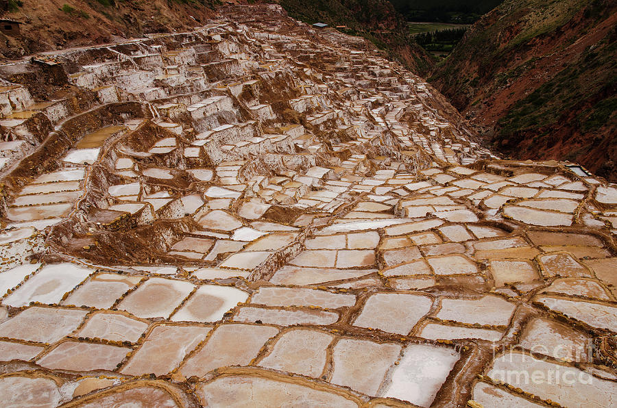 The ancient salt pans of Maras, Peru Photograph by Ralf Broskvar - Fine ...