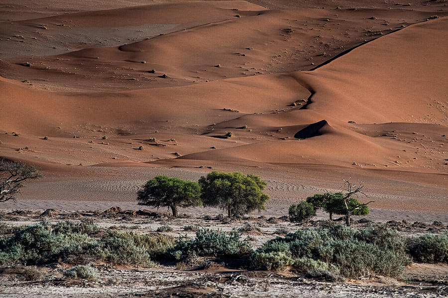 The Ancient Sands of Namib-Naukluft Photograph by Douglas Wielfaert 