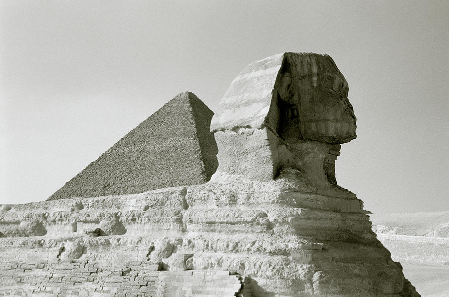 The Ancient Sphinx Photograph by Shaun Higson
