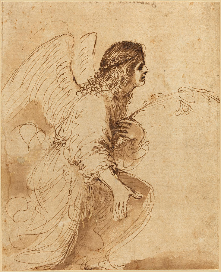 The Angel of the Annunciation Drawing by Guercino