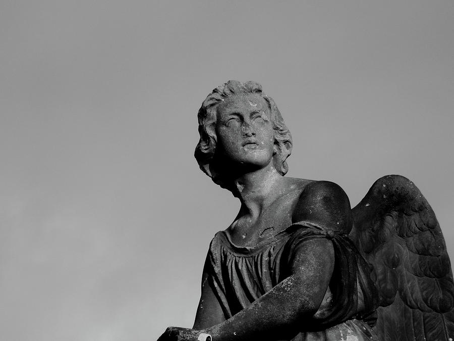 Stone Photograph - The Angels Gaze by David Gallie