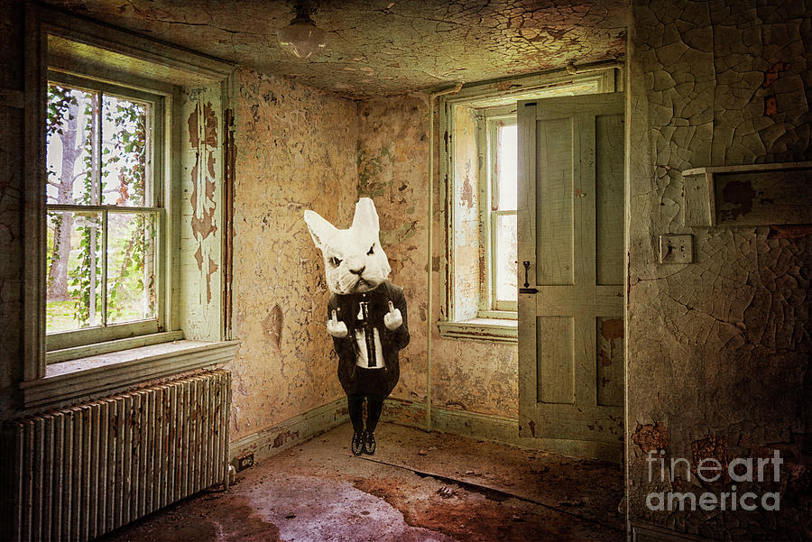 The Angry Bunny Photograph by Debra Fedchin