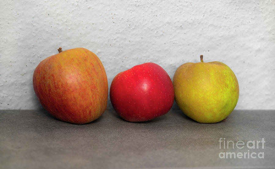 The Apples.  Photograph by Daniel M Walsh