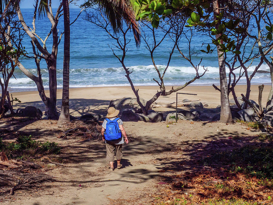 The approach to Playa Carricitos, Sayulita. Photograph by Rob Huntley