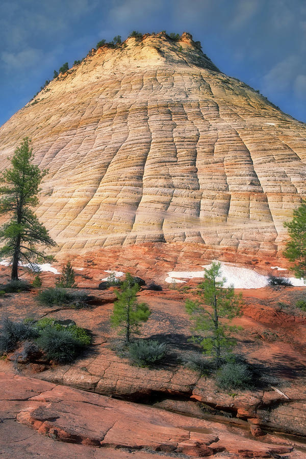 The Aptly Named Checkerboard Mesa In Zion National Park Photograph By Larry Geddis Pixels