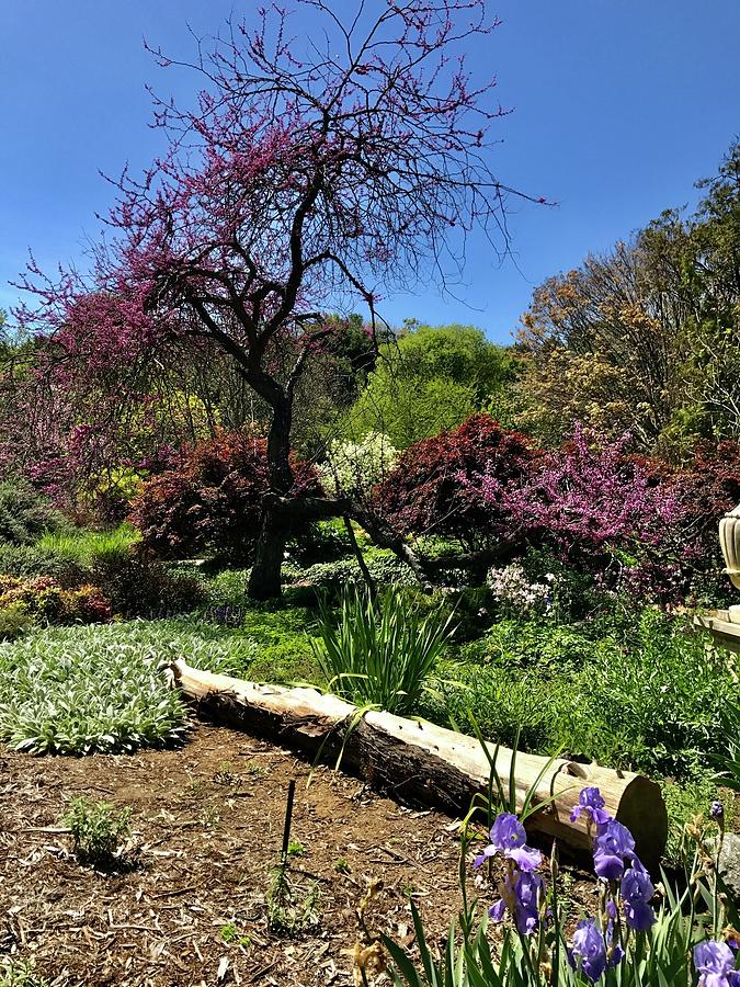 The Arboretum Los Angeles County Arboretum And Botanical Garden ...