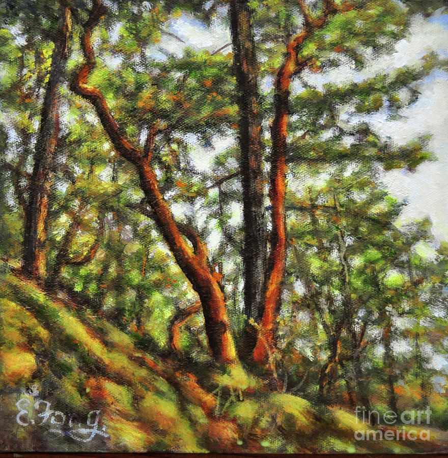 The Arbutus Trees of the West Coast Painting by Eileen  Fong