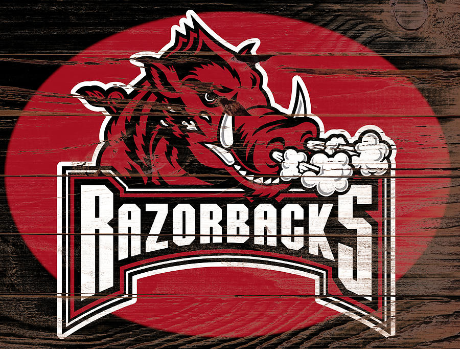 Tim Tebow Mixed Media - The Arkansas Razorbacks1i by Brian Reaves