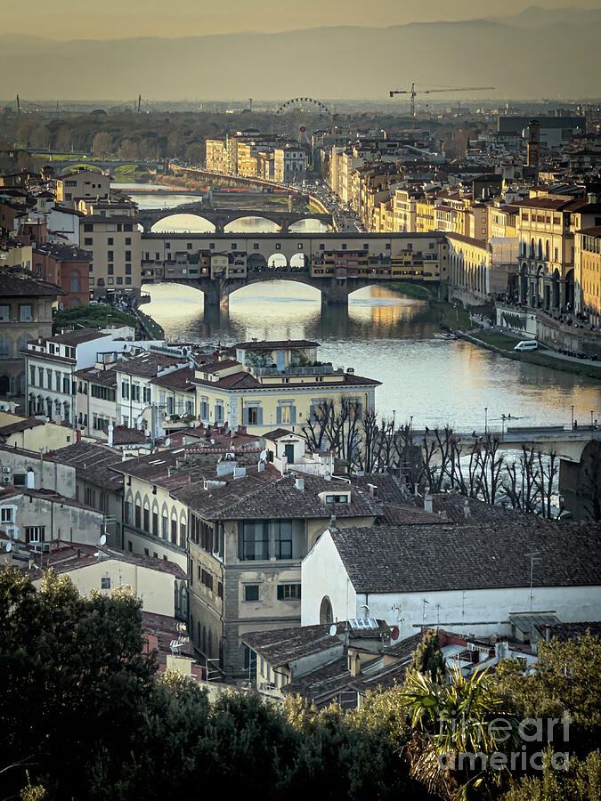 The Arno River Photograph by William Norton