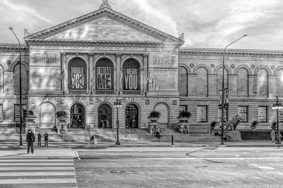 The Art Institute of Chicago Photograph by Sharon Popek