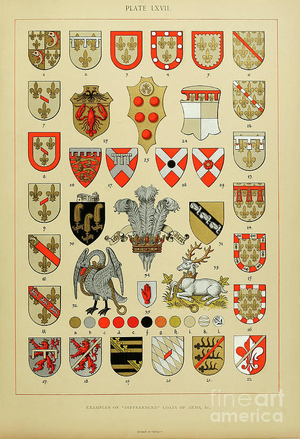 The art of heraldry h27 Drawing by Historic illustrations | Fine Art ...