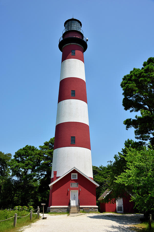 The Assateague Lighthouse in Chincoteague, Virginia Photograph by ...