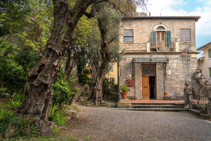 The Atelier - Gardens of Villa Pompeo Mariani - Bordighera - Italy Photograph by Jenny Rainbow