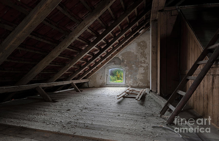 The Attic Photograph by Daniel M Walsh