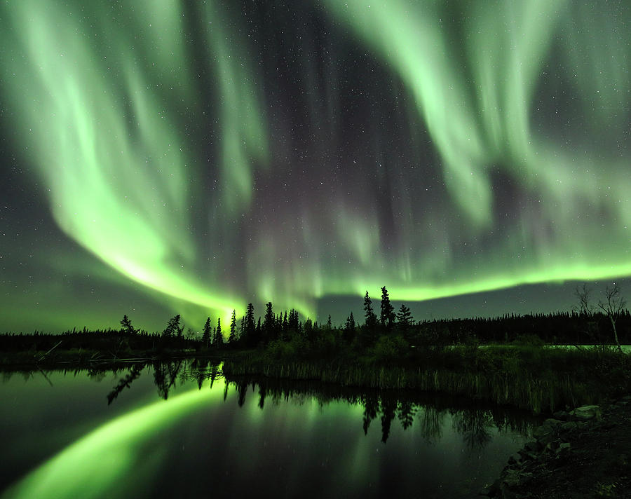 The Aurora Borealis fills the sky Photograph by Steven Upton