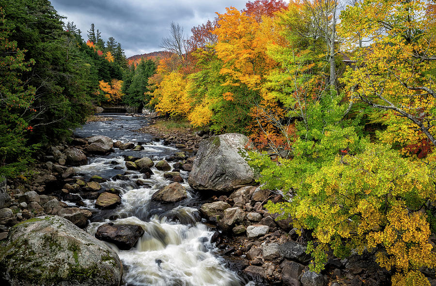 The Ausable In The Fall Photograph by Mark Papke