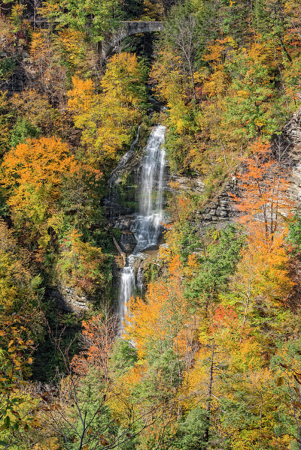 Nature Photograph - The Autumn Colors Of Letchworth State Park by Jim Vallee