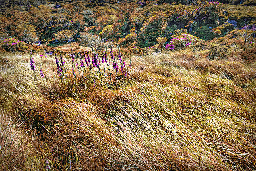 The Autumn Irish Wind Photograph by Debra and Dave Vanderlaan