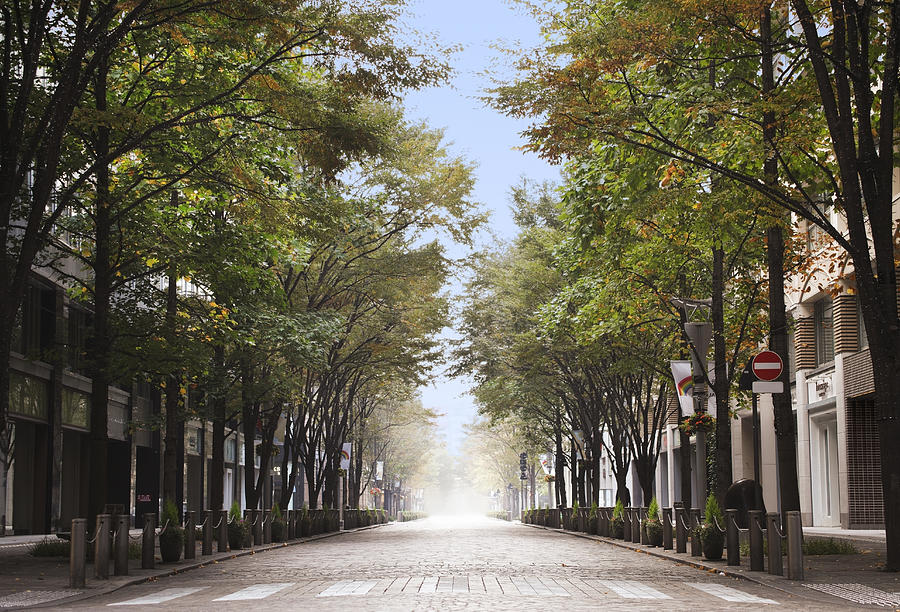 The avenue in Tokyo Photograph by ModernewWorld
