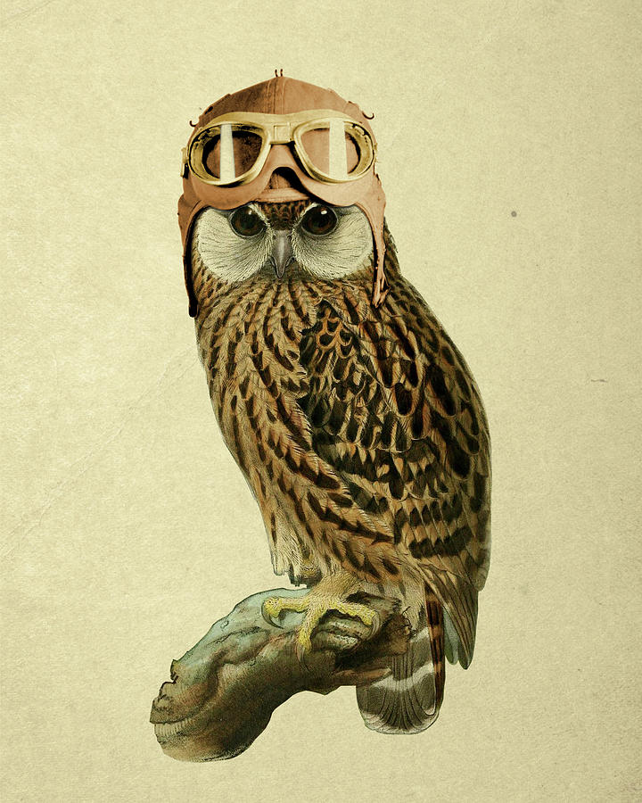 Owl Digital Art - The Aviator by Madame Memento