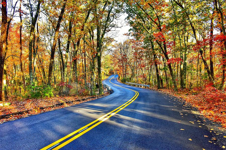 The Back Roads in the Fall Photograph by Monika Salvan