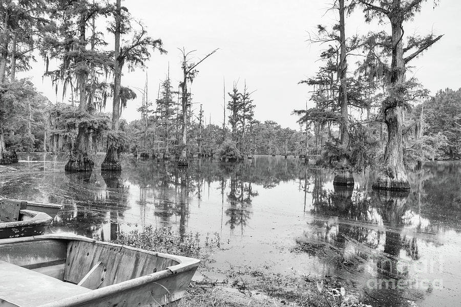 The Back Waters - BW Photograph by Scott Pellegrin
