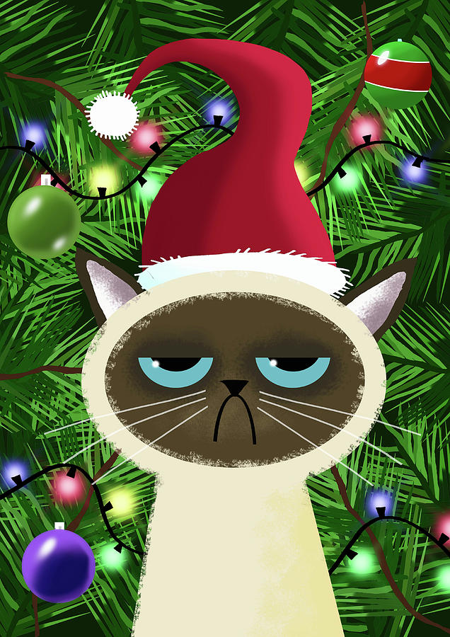 The Bah Humbug Cat  Mixed Media by Andrew Hitchen