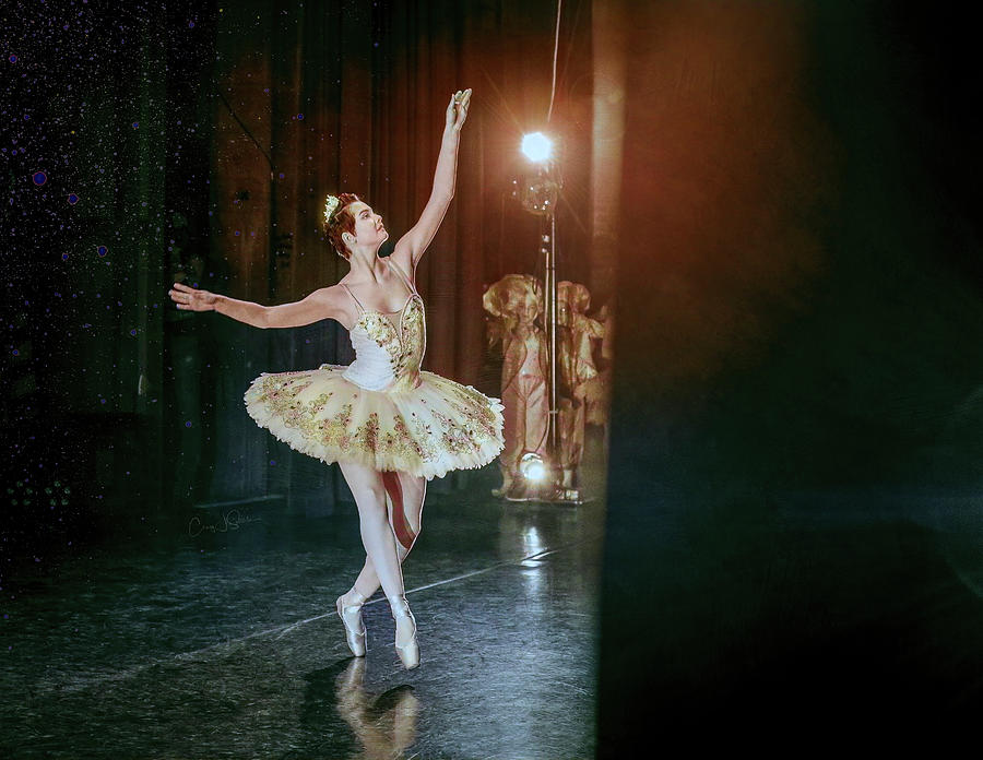 The Ballerina Photograph by Craig J Satterlee