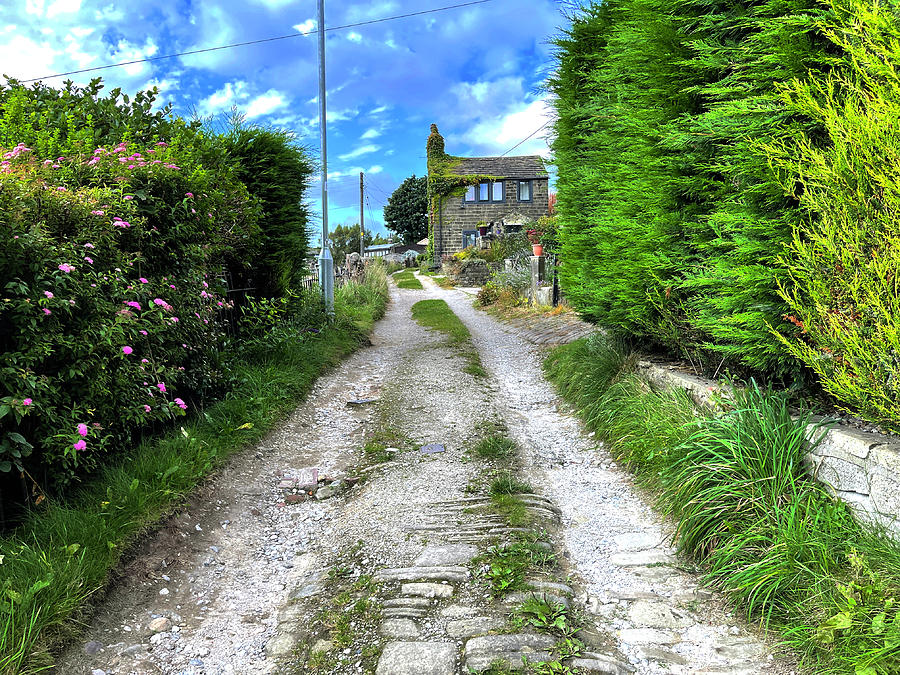 The Bank in Oxenhope, UK Photograph by Derek Oldfield - Fine Art America