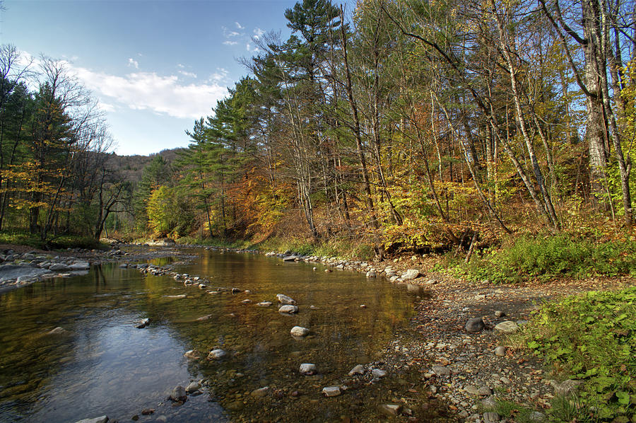 The Banks of White River by Moxley Covered Bridge Photograph by Daniel Brinneman