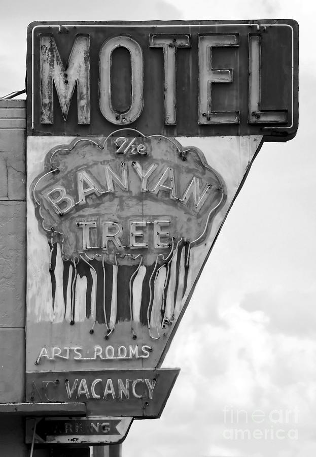 The Banyan Tree Motel sign St. Pete Florida Photograph by David Lee Thompson