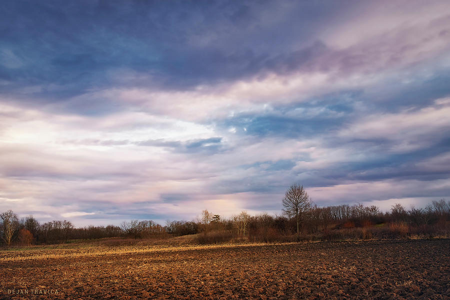 The bare field is waiting for the first snow Photograph by Dejan Travica The bare field is waiting for the first snow Photograph by Dejan Travica