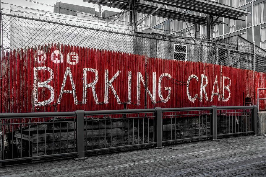 The Barking Crab Photograph by Sharon Popek