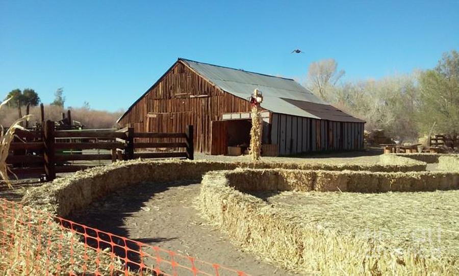 The Barn Photograph by Arthur Houston Fine Art America