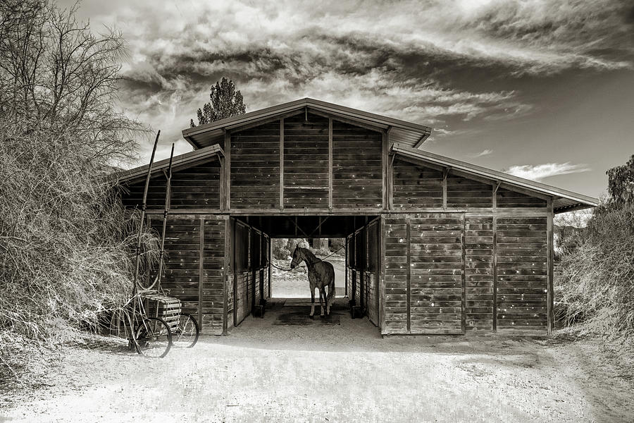The Barn Photograph by Jerry Cowart